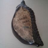 Empty dabshell signed pocket