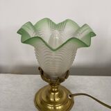 Old brass and tulip table lamp