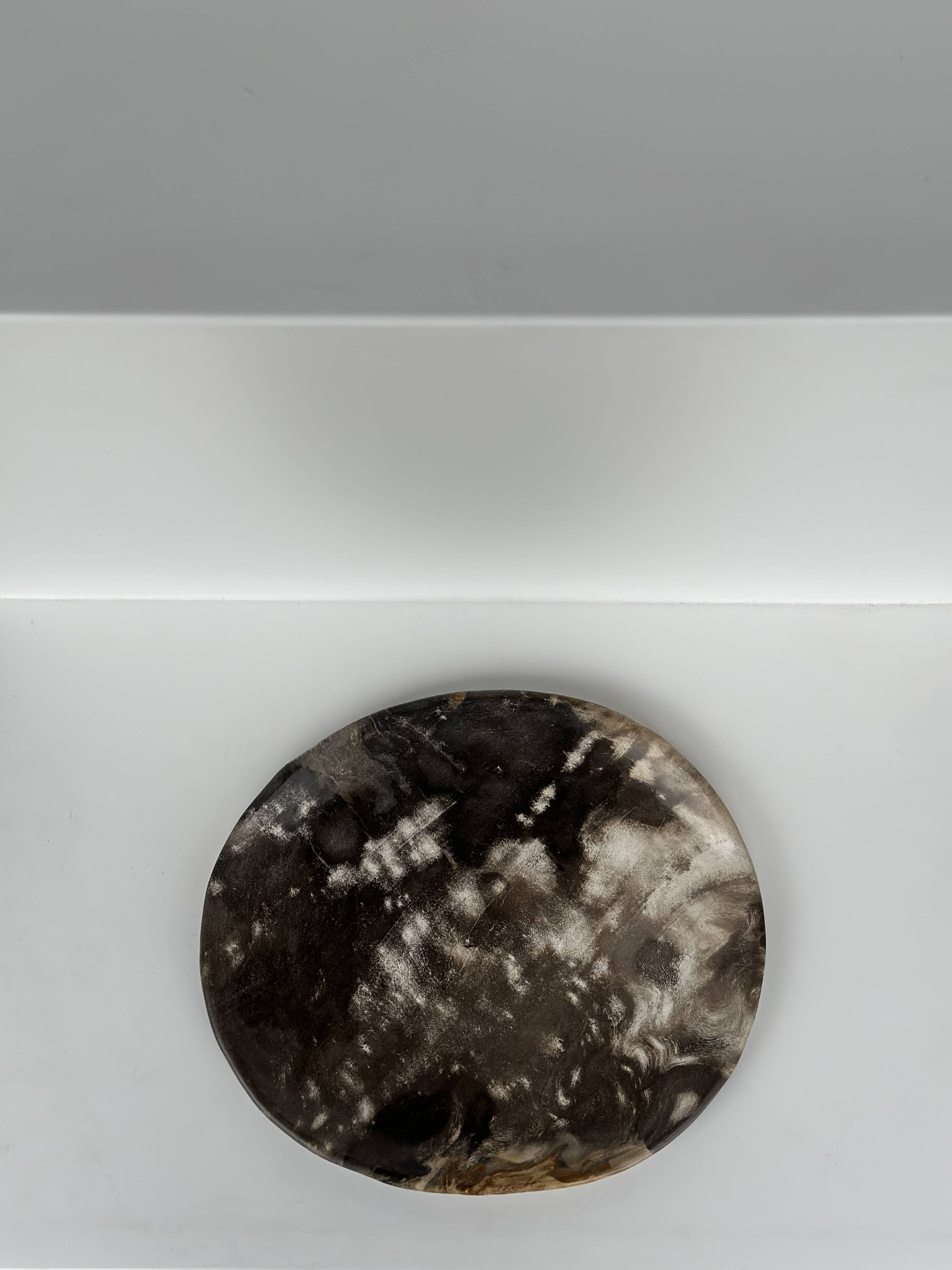 Medium petrified wood dish or pocket emptier, predominantly gray 1137