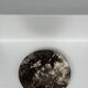 Medium petrified wood dish or pocket emptier, predominantly gray 1137
