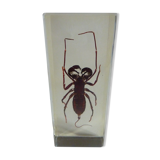 Inclusion insect, curiosity cabinet