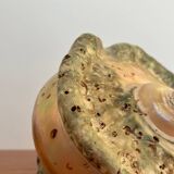 Pearly shell