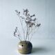 Vase pique flowers in sandstone