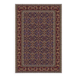 Patterned oriental home rug