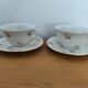 Antique porcelain lunches