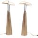 Set of 2 bronze table lamps