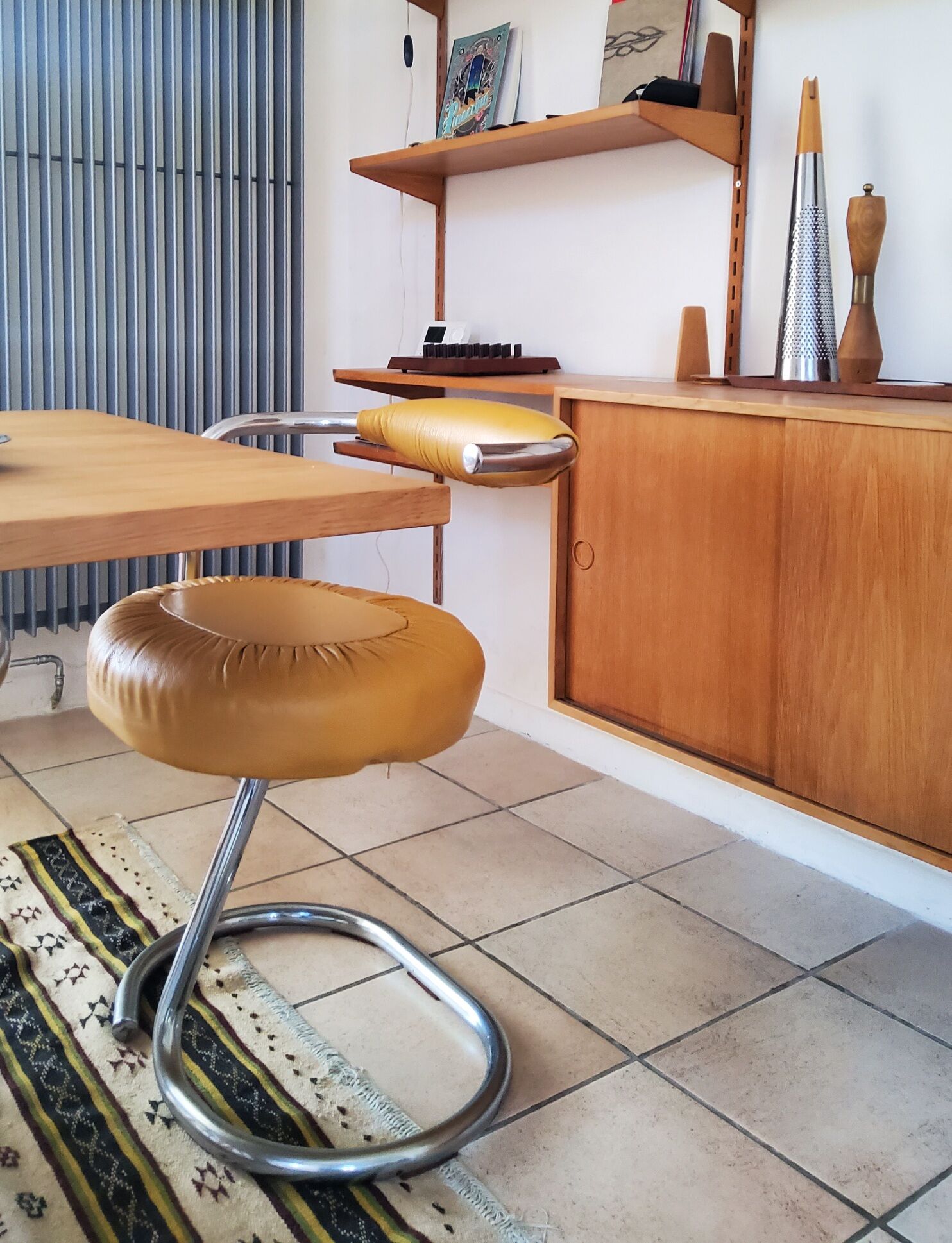 Flesh Cobra by Giotto Stoppino