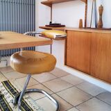 Flesh Cobra by Giotto Stoppino