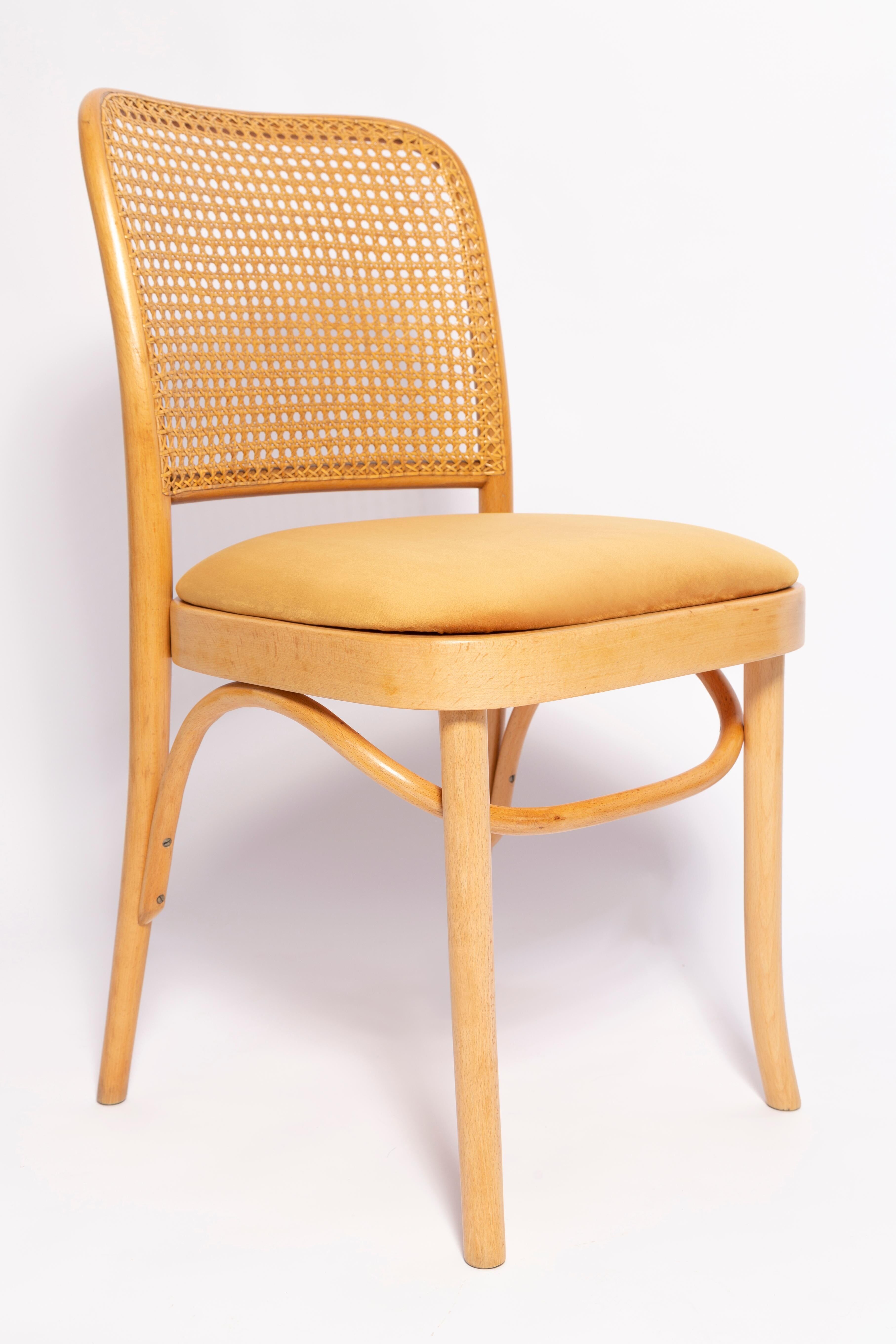 Thonet chair in rattan and yellow velvet wood from the mid-century, Europe, 1960s.