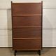 Vintage library/display cabinet