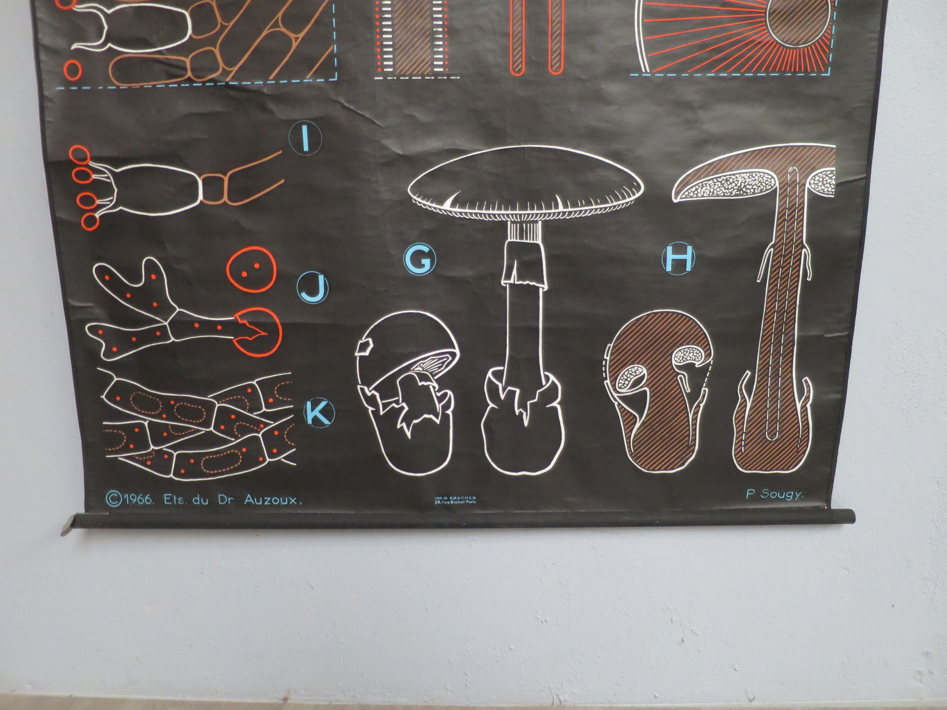 Vintage poster Dr Audoux mushroom theme