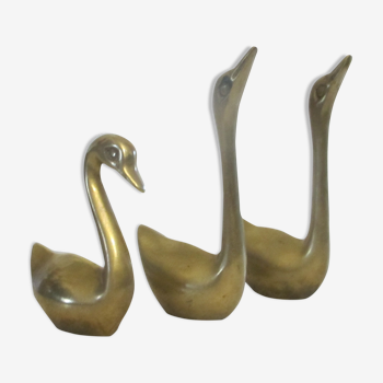 golden brass swans