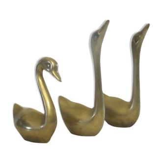 golden brass swans