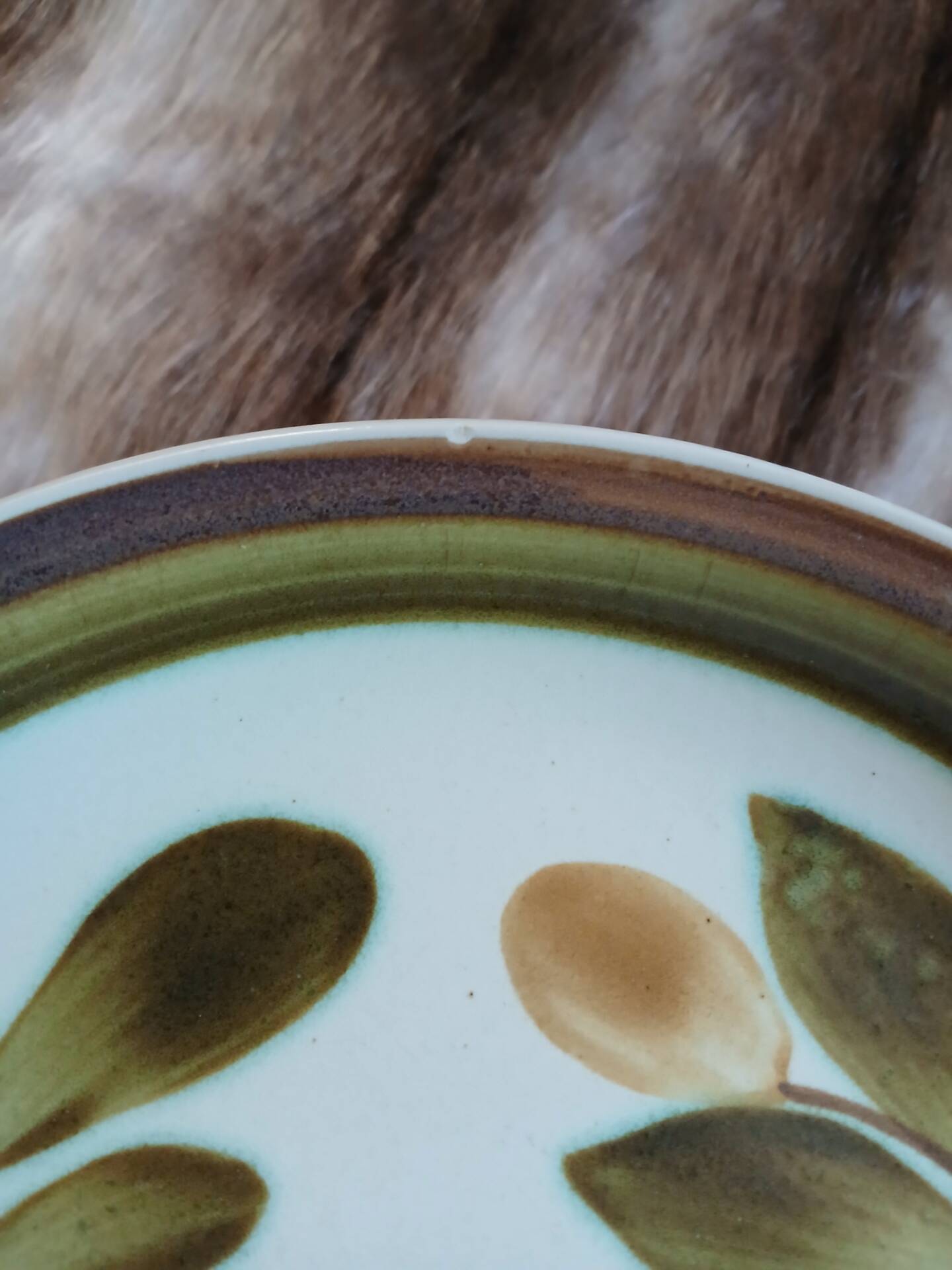 6 assiettes plates vintages Gien