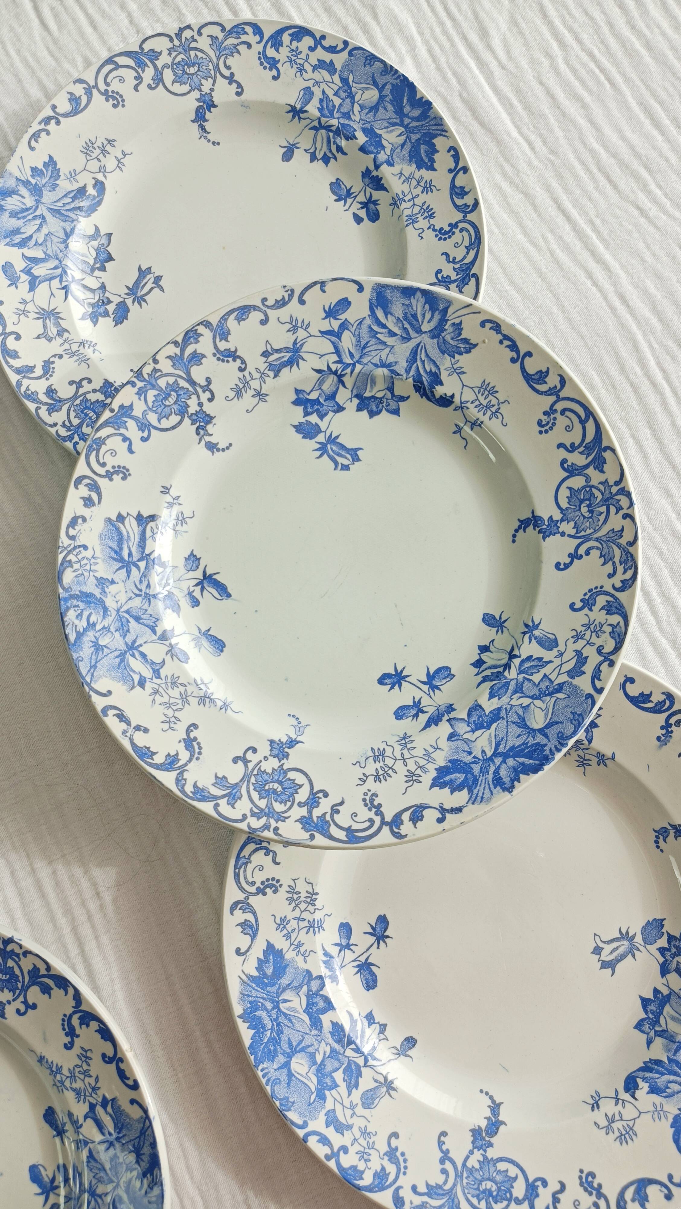 Lot de 6 assiettes semi-creuses terre de fer Saint Amand et Hamage, Campanule