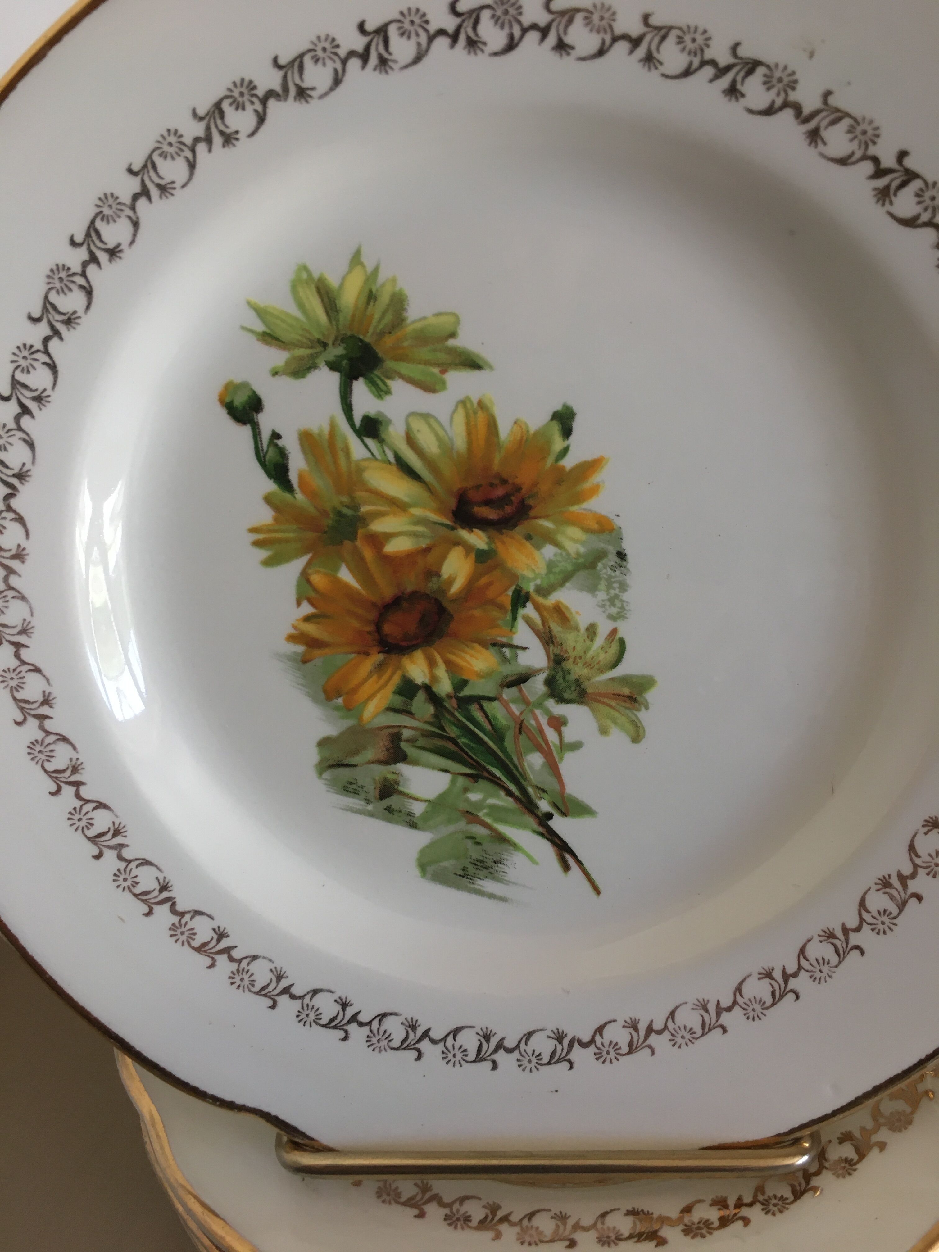 6 gien earthenware dessert plates