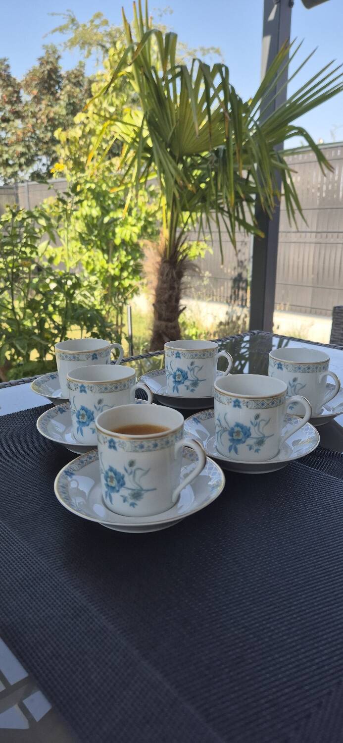 Limoges porcelain coffee service – Haviland France – floral model b