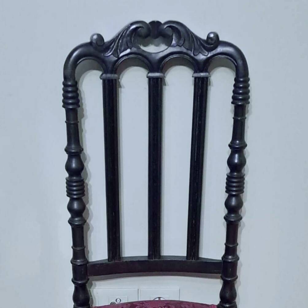 Duo de chaises époque Napoléon III