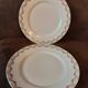 Set of 2 Kinzel dinner plates