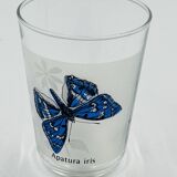 6 vintage butterfly glasses