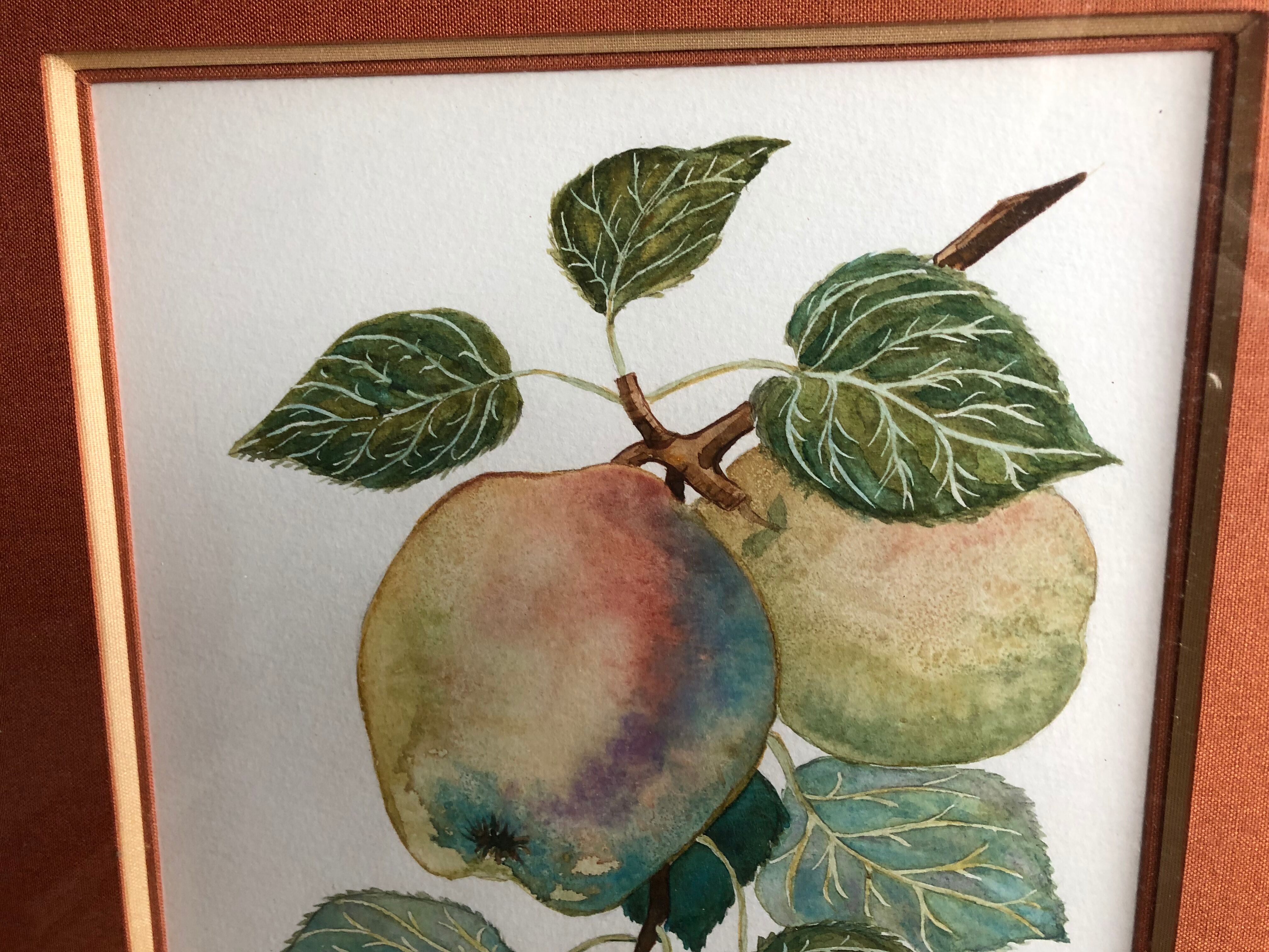 Old botanical lithograph patricia kounakowitch