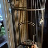 Cage artisan  fer forgé
