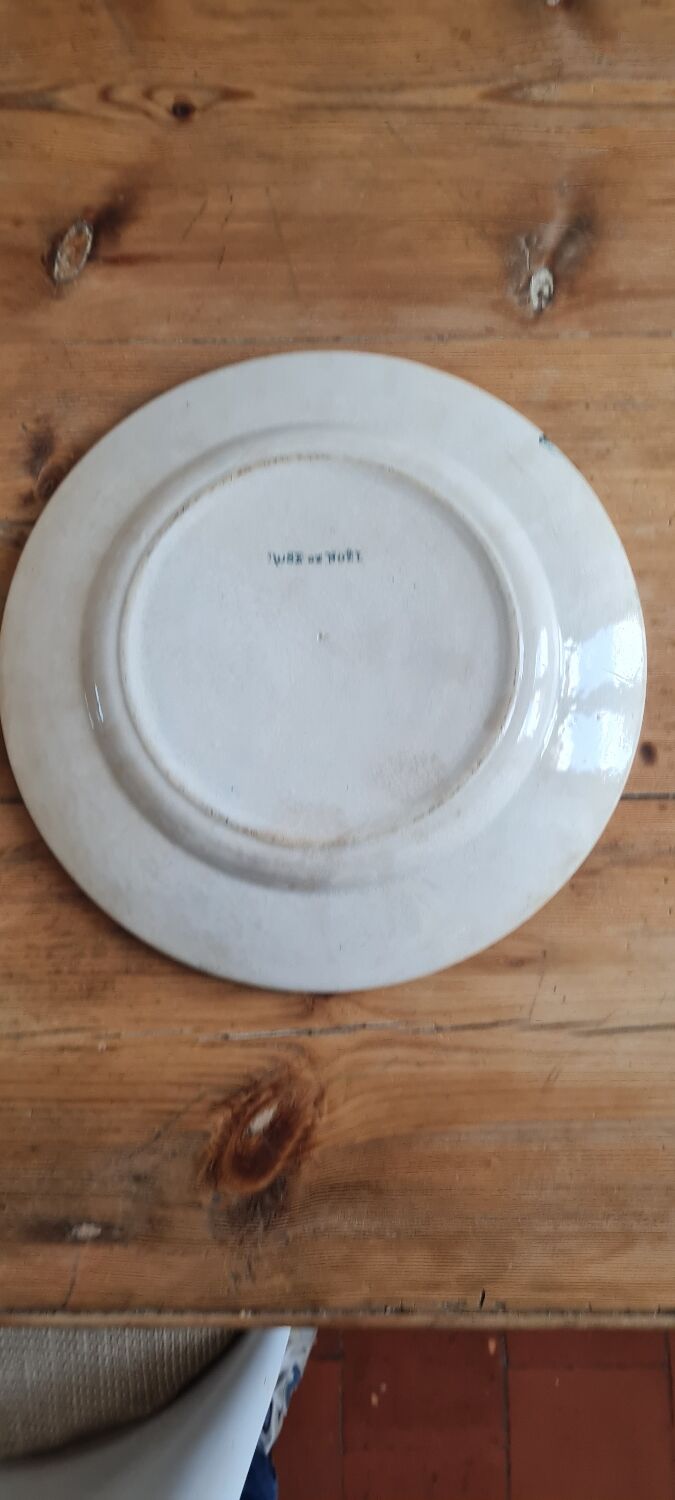 Serving dish in iron earth