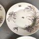 5 dessert plates porcelain gold medals exp 1867 1978 birds