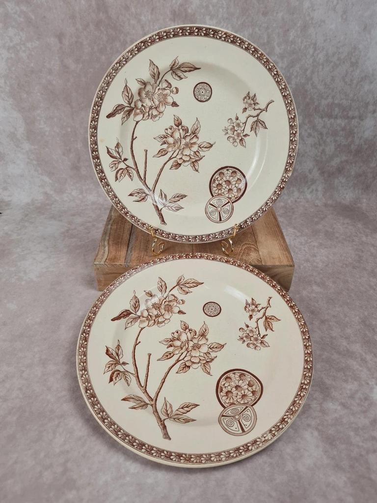 Set of 2 antique ironstone plates, "Daisy" pattern, Grand Dépôt Paris.
