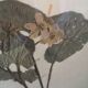 Old Swedish herbarium board framed