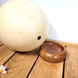 Ostrich egg on wooden base