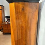 Biedermeier Bookcase in Walnut & Glass, Austria, 1825