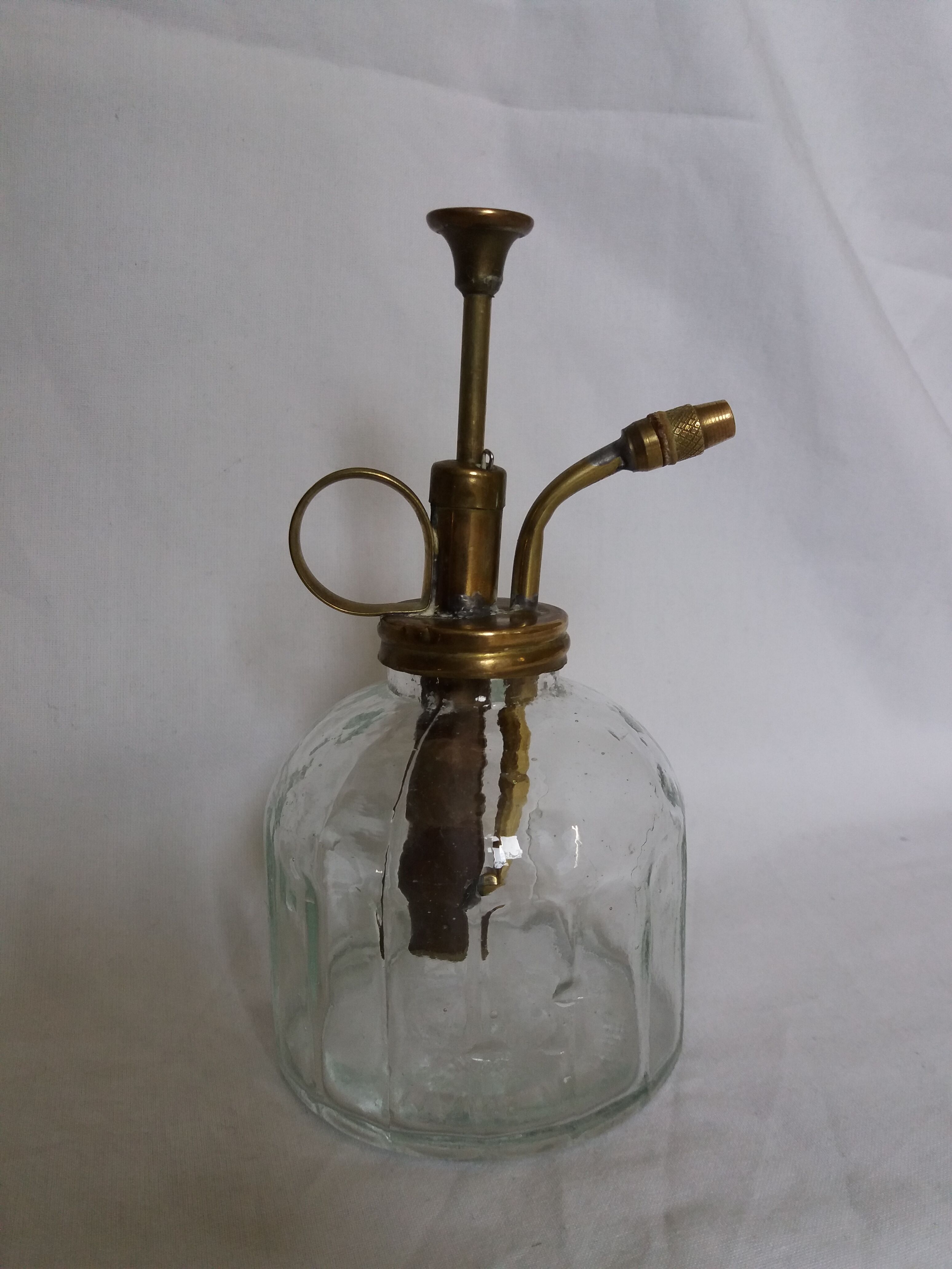 Glass and brass plant spray