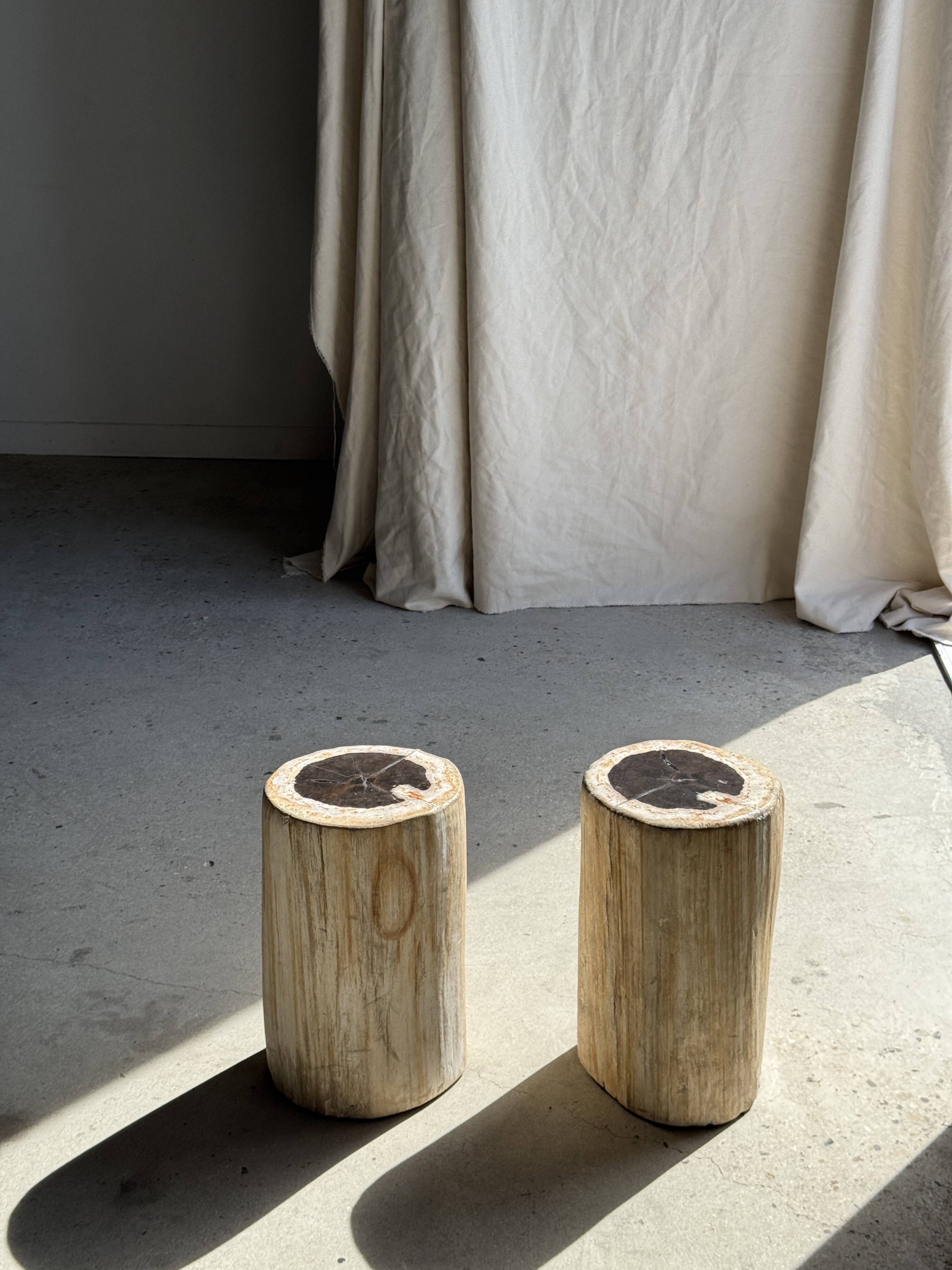 Table d'appoint en bois pétrifié, écorce blanche