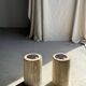Table d'appoint en bois pétrifié, écorce blanche