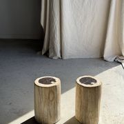 Petrified wood side table, white bark