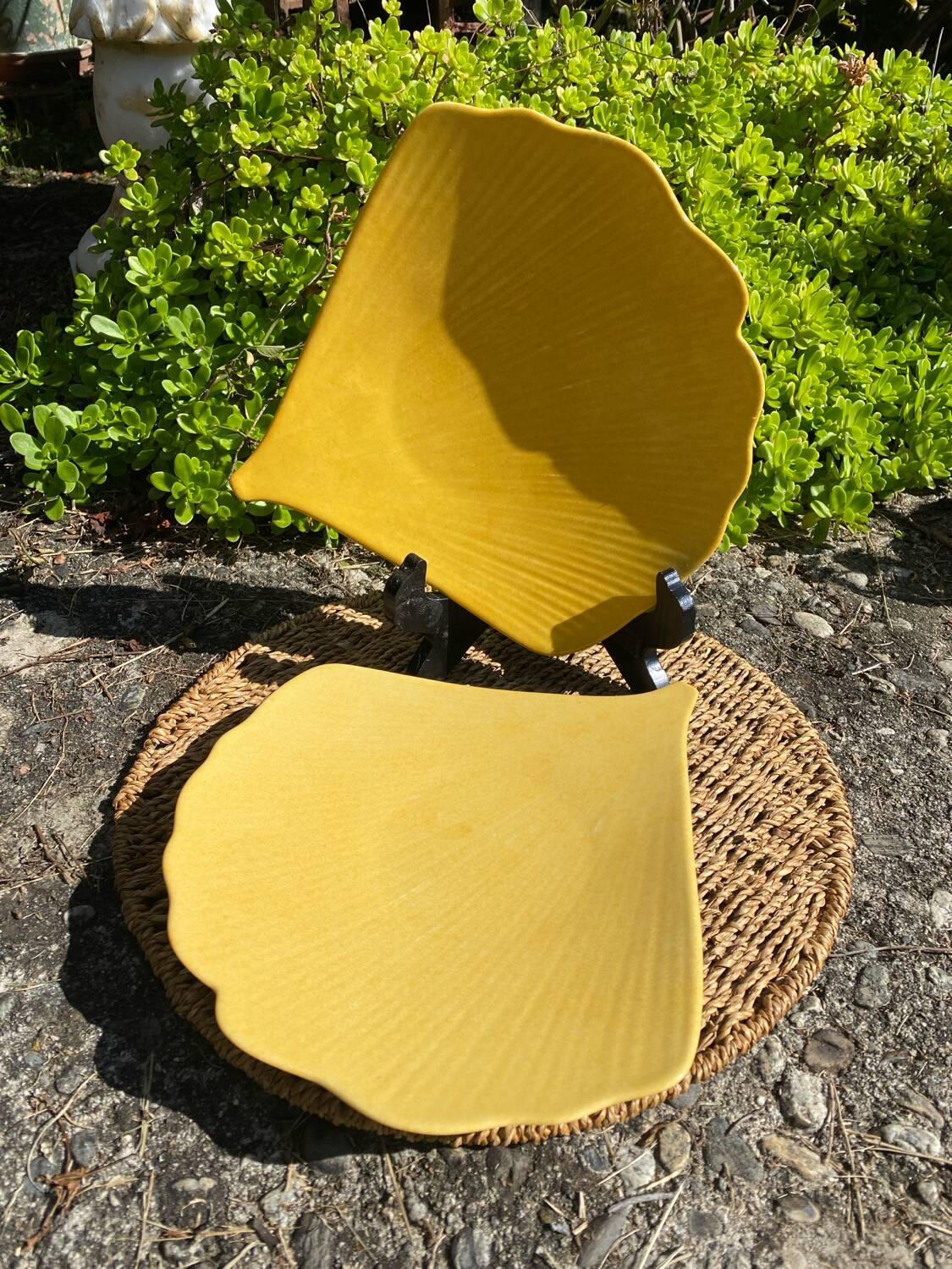 Limoges porcelain dishes