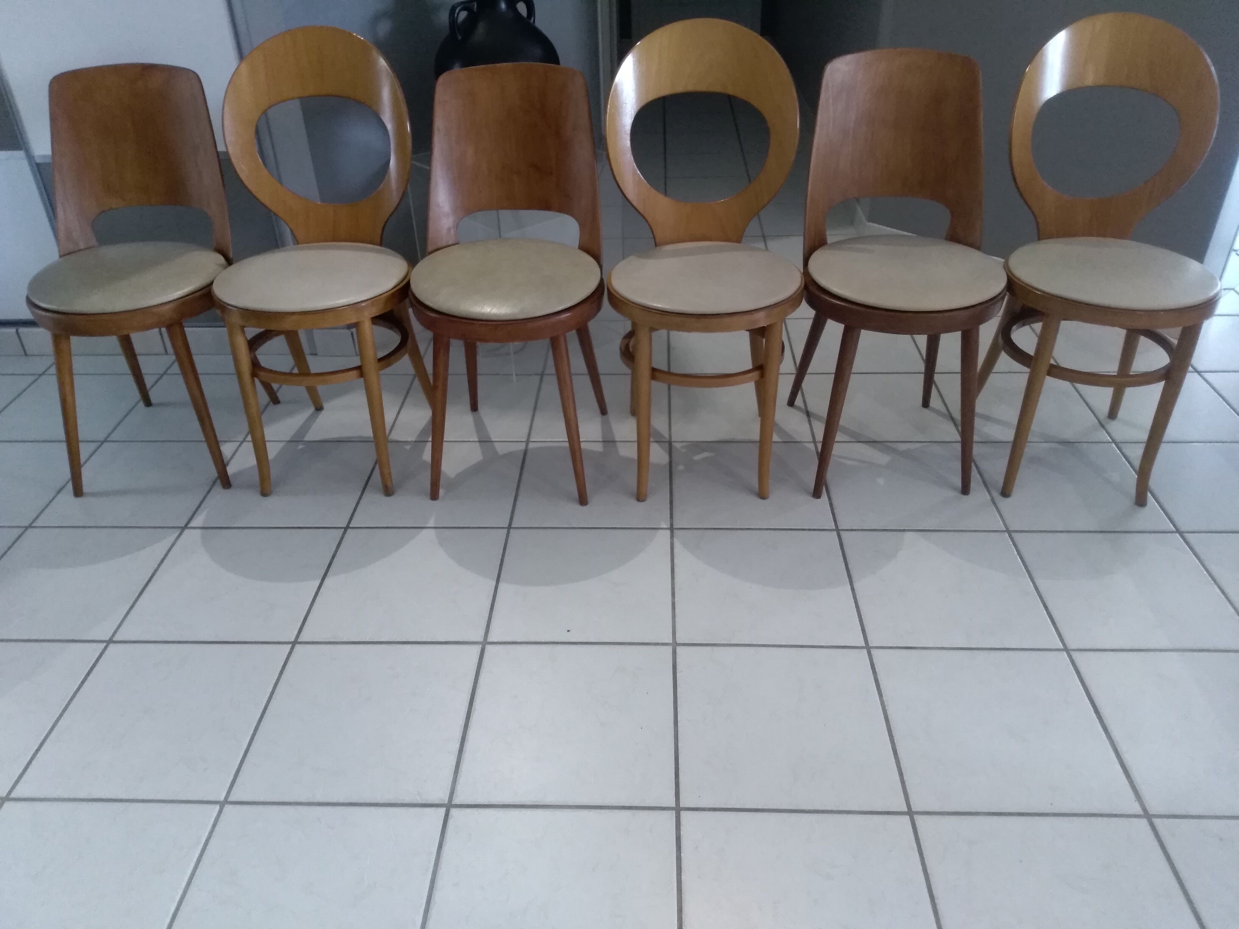 Suite of 6 chairs Baumann model Mondor and Seagull 1960