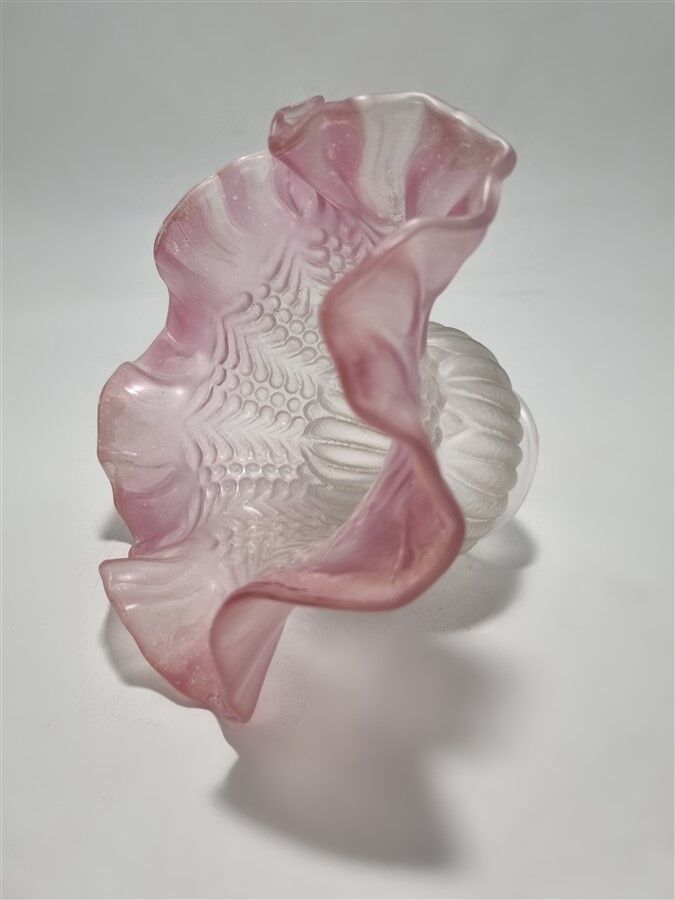 Tulip