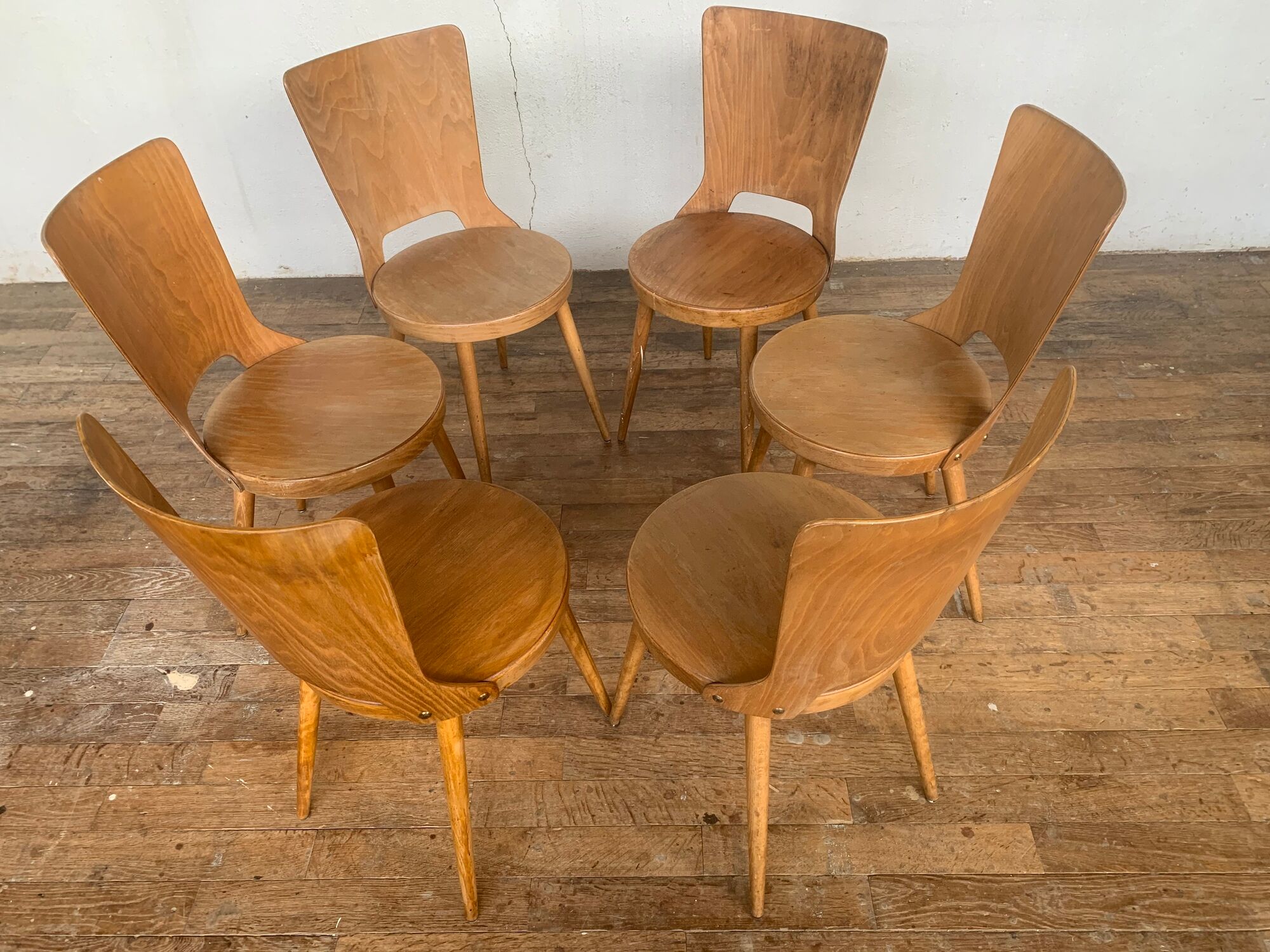 Series of 6 chairs bistro Baumann model Dove year 1950/1960
