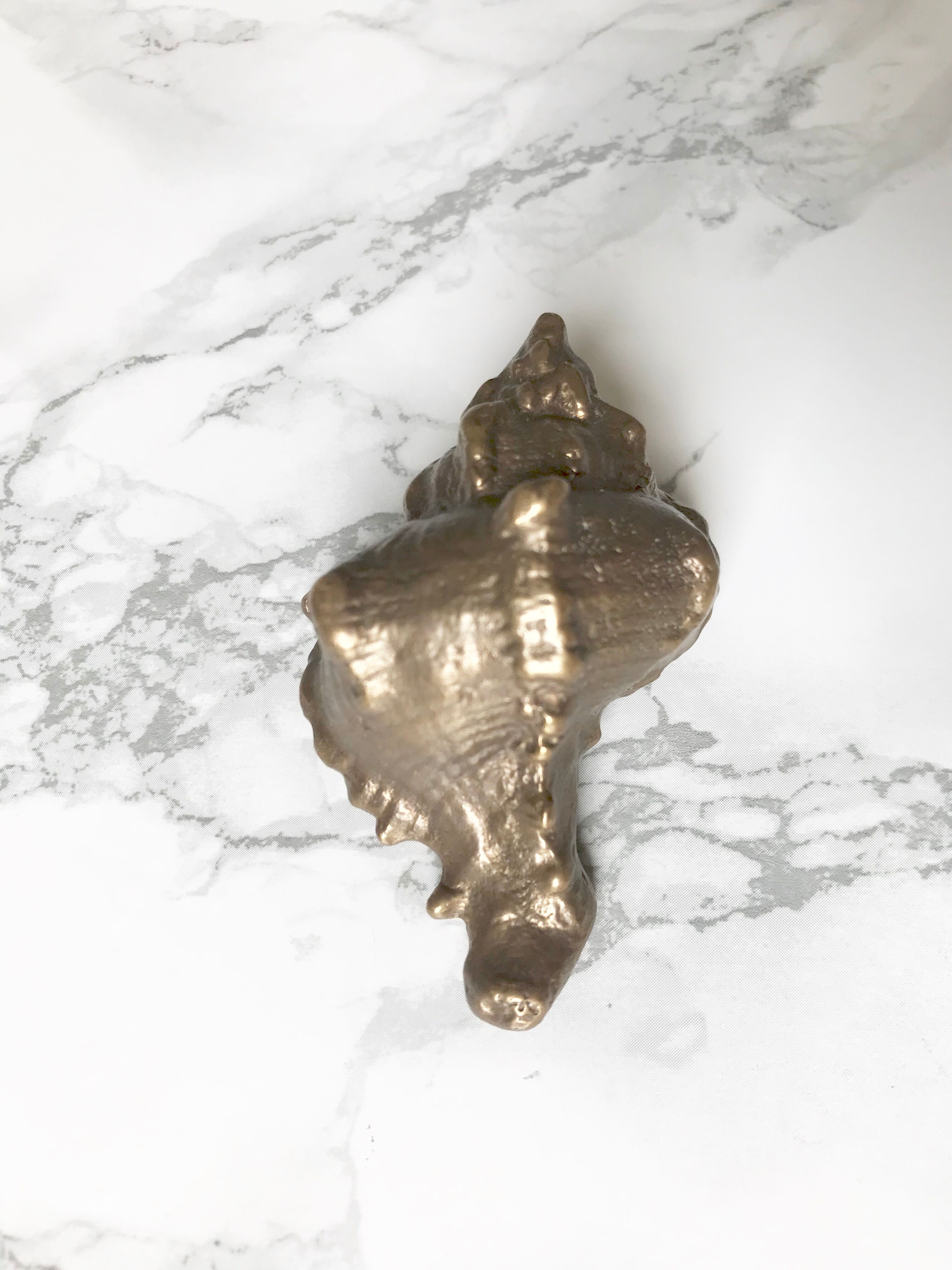 Pair of solid bronze shells