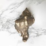 Pair of solid bronze shells