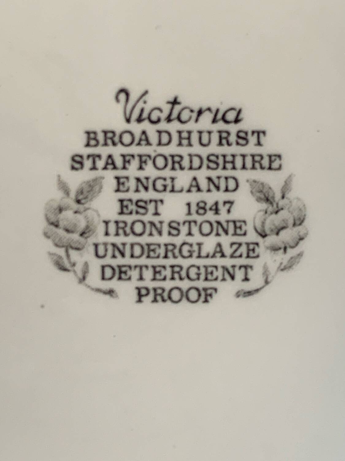 6 English flat plates Staffordshire Victoria