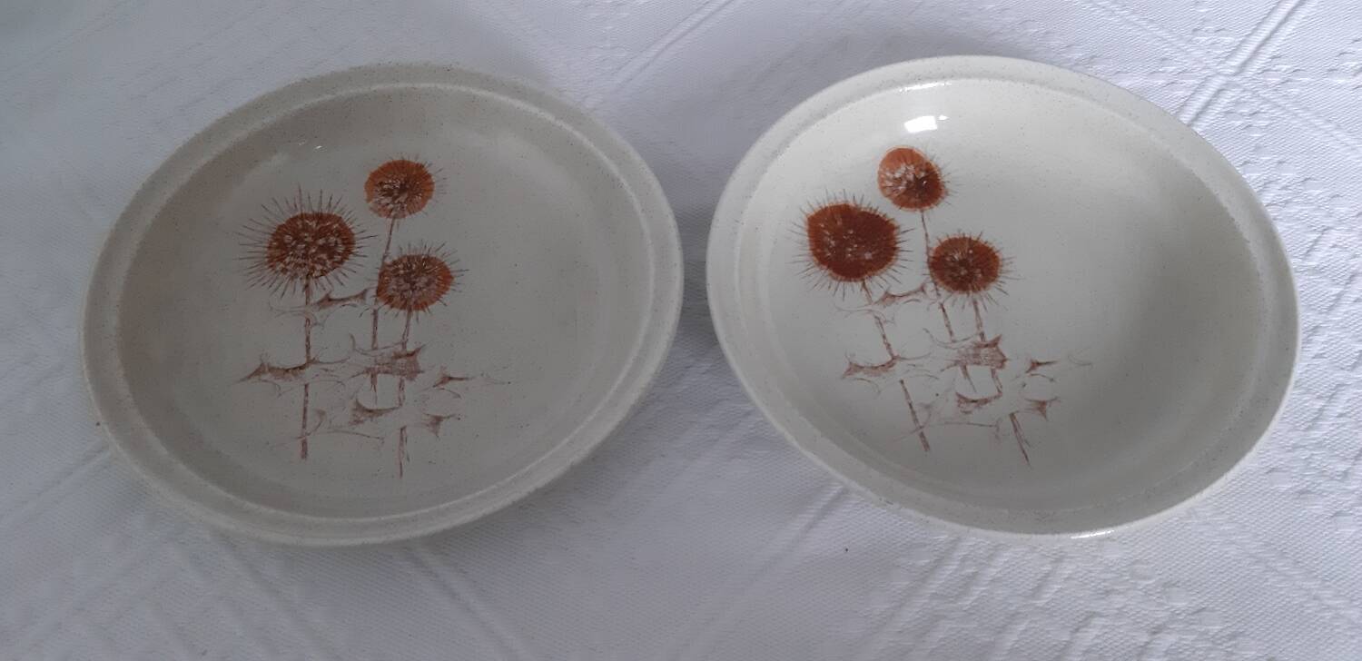 2 assiettes creuses porcelaine de Sarreguemines