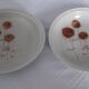 2 assiettes creuses porcelaine de Sarreguemines