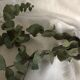 Winegrower's tablecloth, old linen