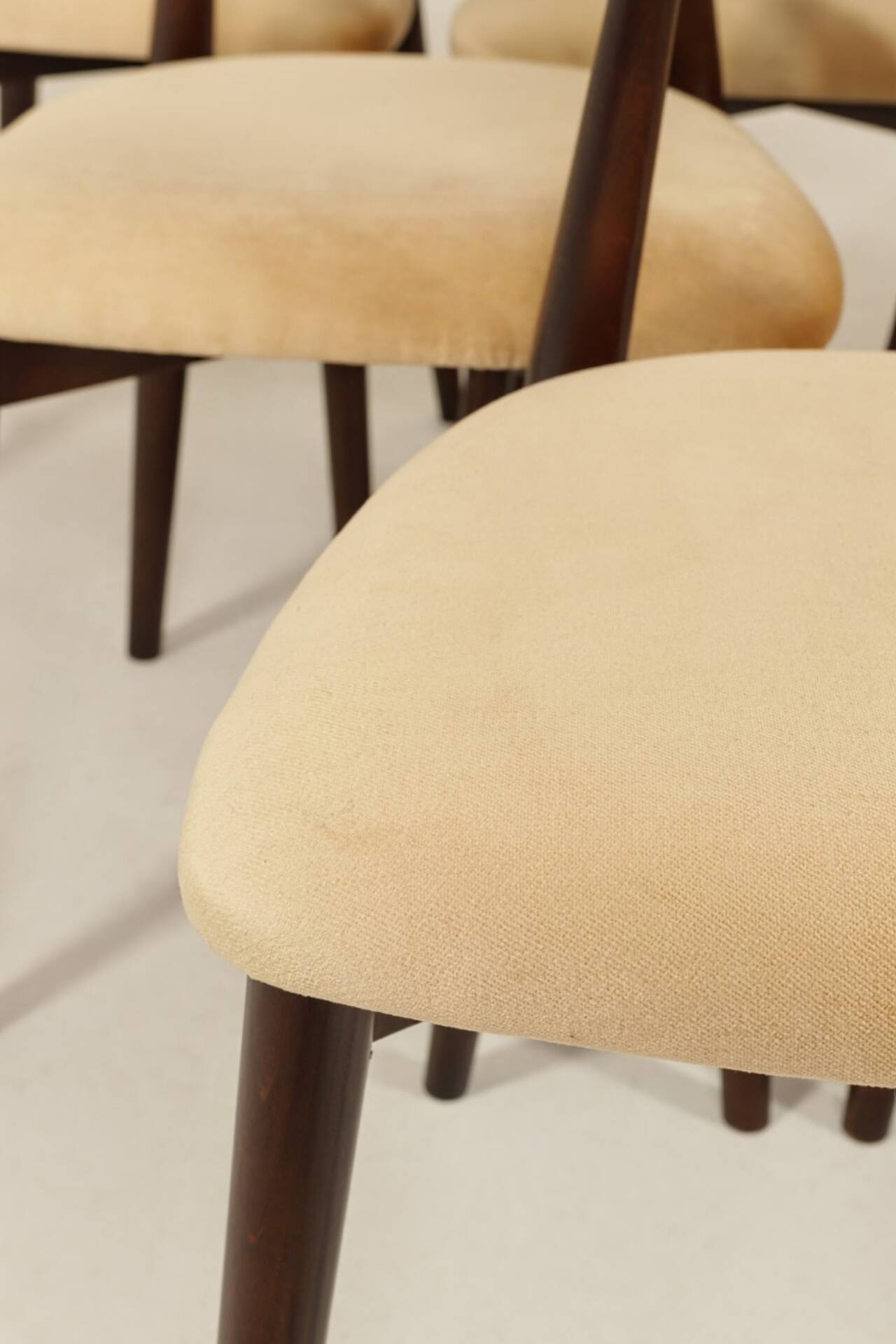 Modern Set of 6 Dining Chairs, Beige Pearl Velvet and Dark beech wood