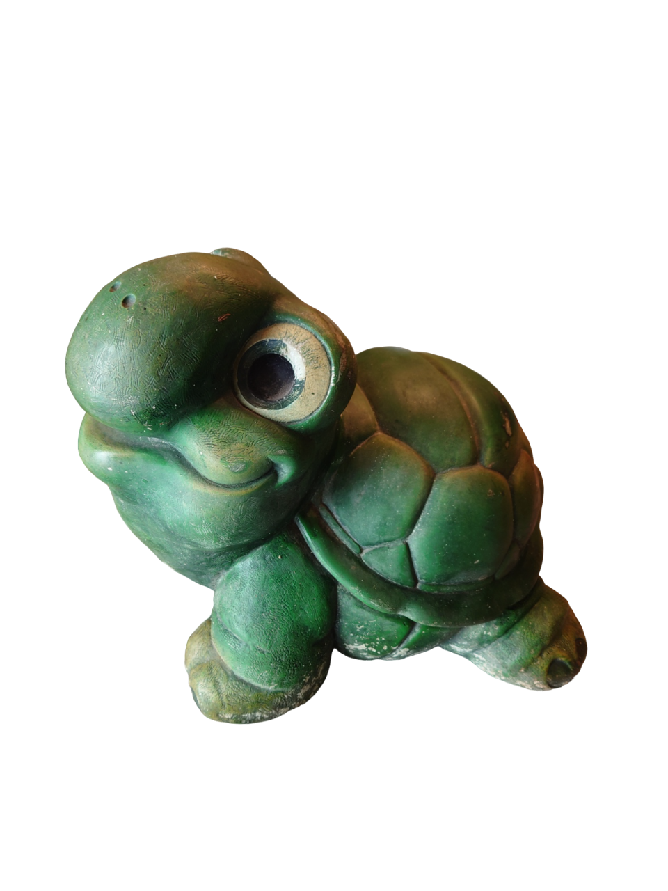 Green turtle in concrete