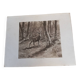 Illustration sepia " cerf"