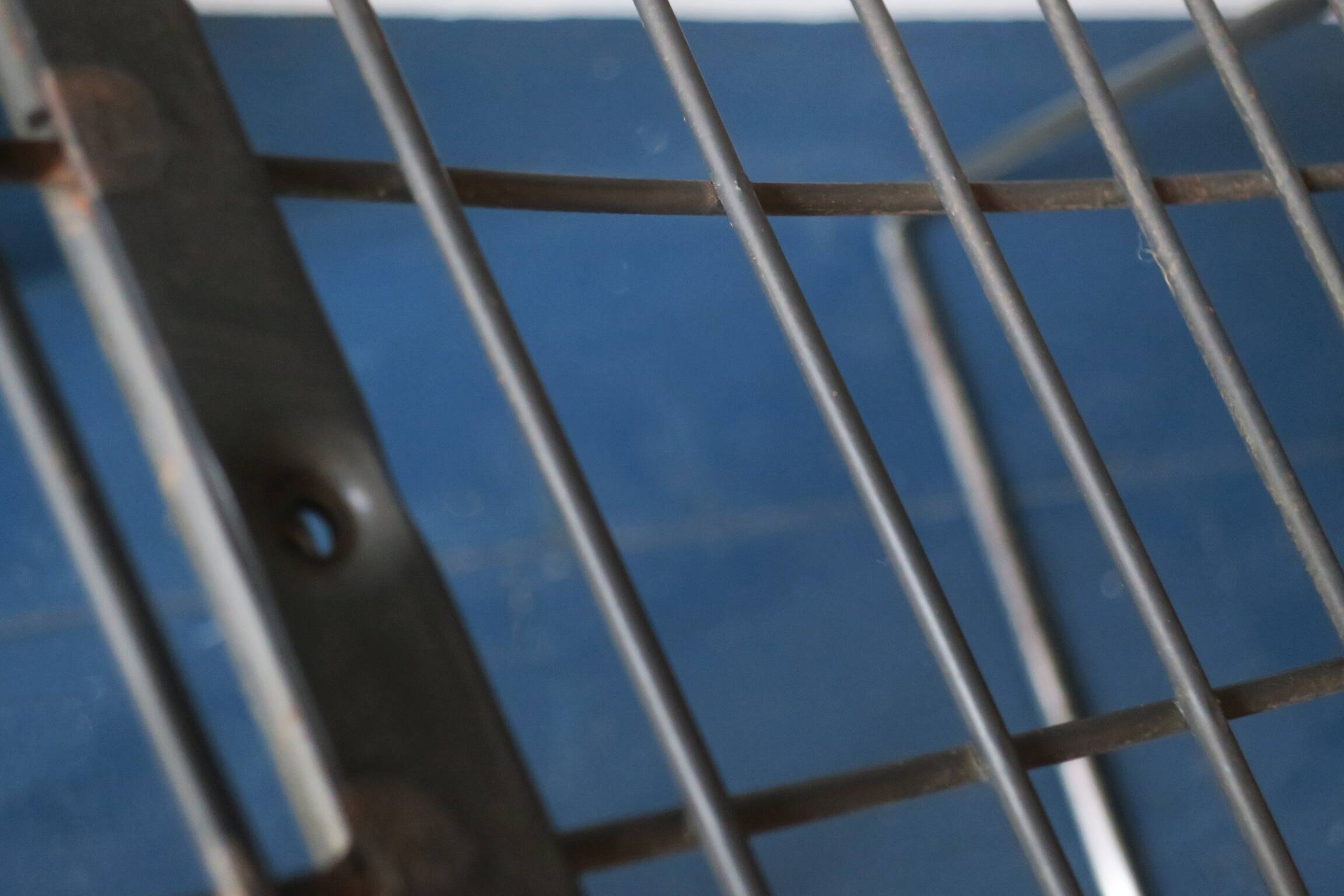 Mid century SM05 side chair by Cees Braakman for Pastoe, 1950s